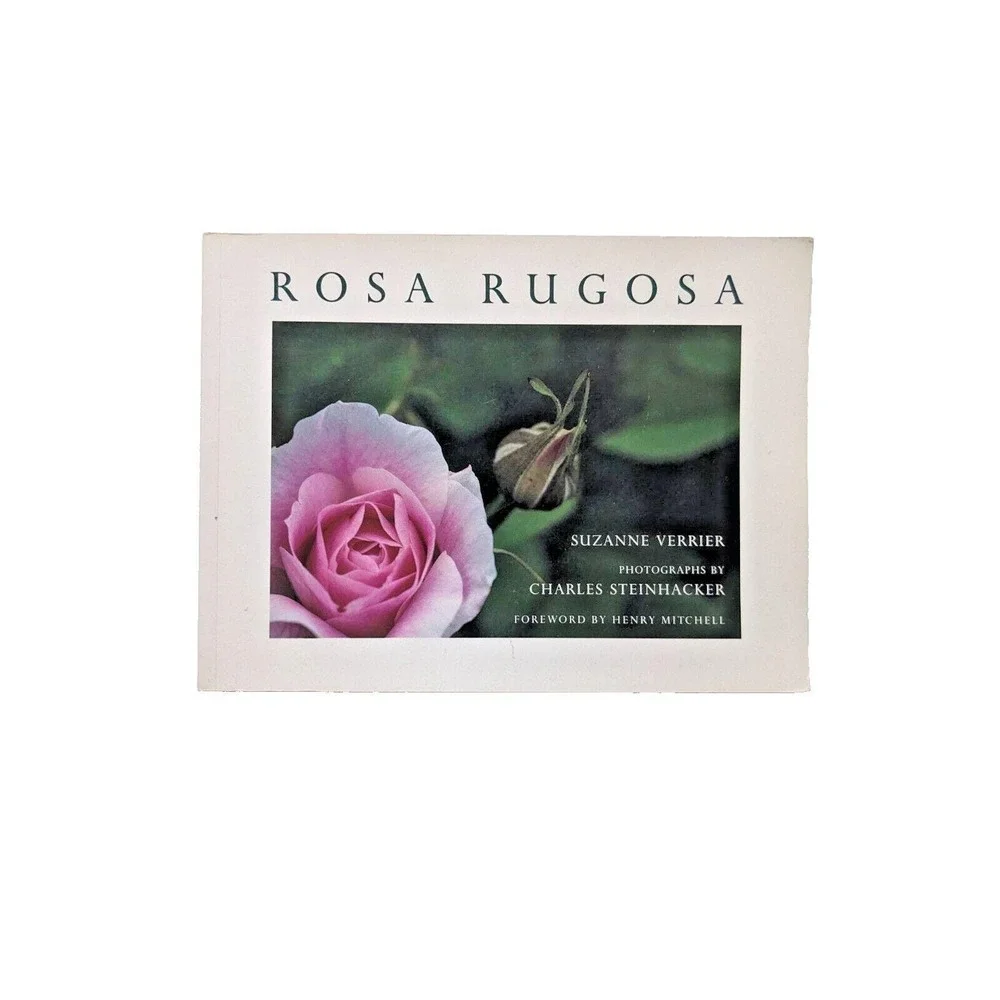 ROSA RUGOSA (1991) by Suzanne Verrier photographs by Charles Steinhacker VTG